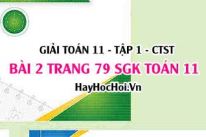 Giải bài 2 trang 79 Toán 11 tập 1 SGK Chân trời sáng tạo